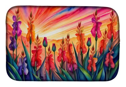 Gladiolus in Color Dish Drying Mat Absorbent Dish Drying Mat Pad for Kitchen Counter Dish Drainer Mat for Countertop, 14 x 21", Multicolor